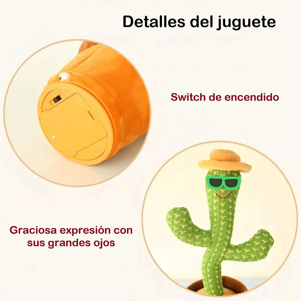 Cactus Bailarin